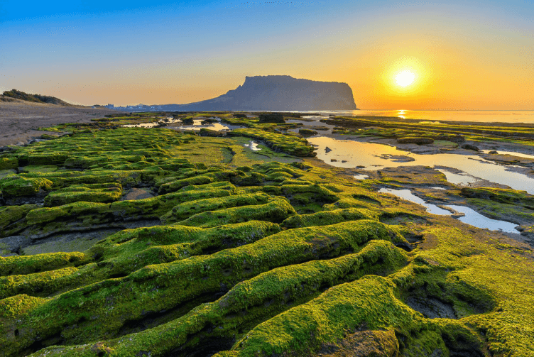 Jeju-Insel Grand-Luxus Golf-Erlebnis | 4 Nächte | 3 Championship-Runden | Premium koreanisches Golf & Kultur