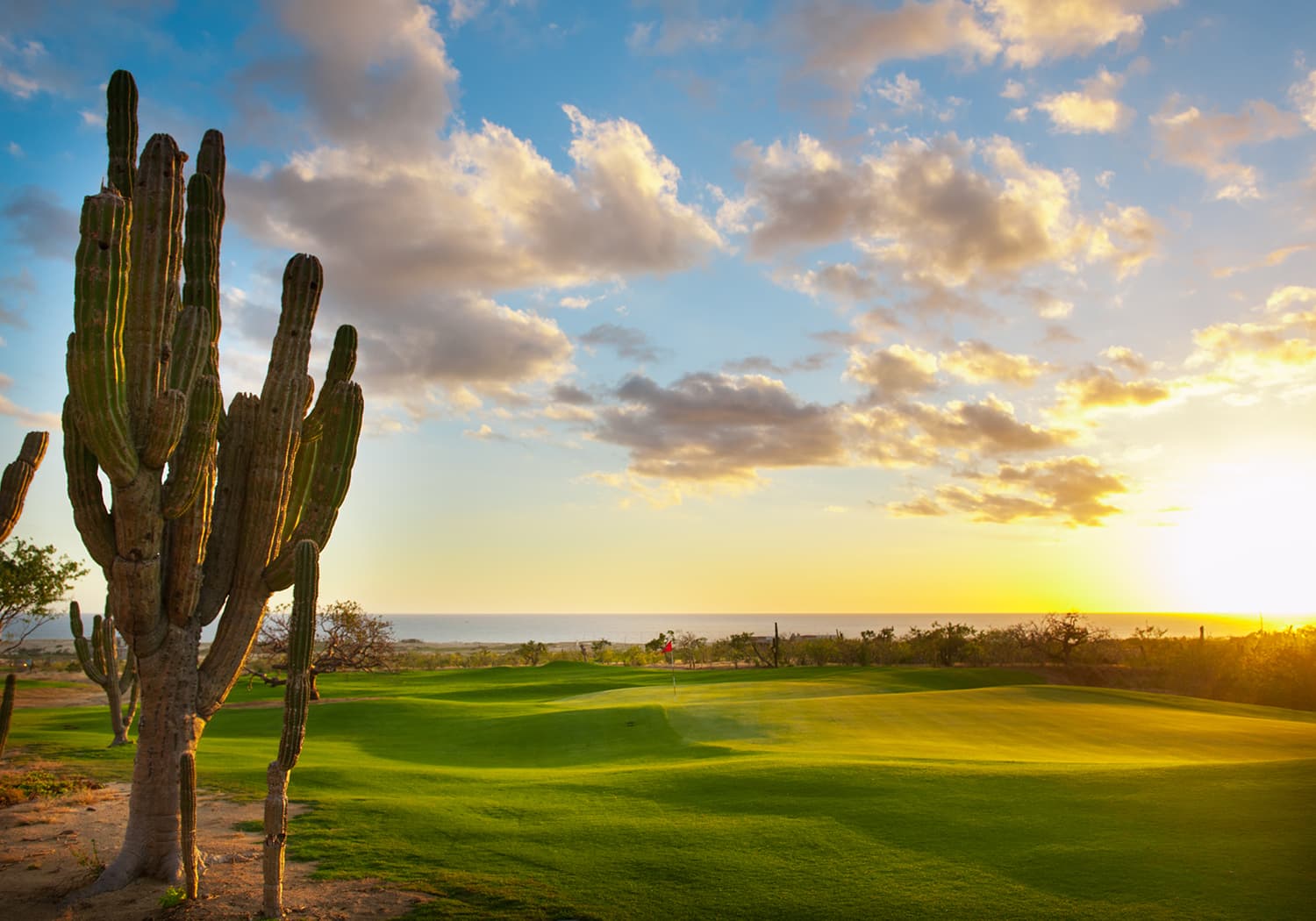 Tiger Woods & The Dunes Experience — 4 Nächte | 2 Runden „Privates Spiel an einer Top‑100‑Destination der Welt“